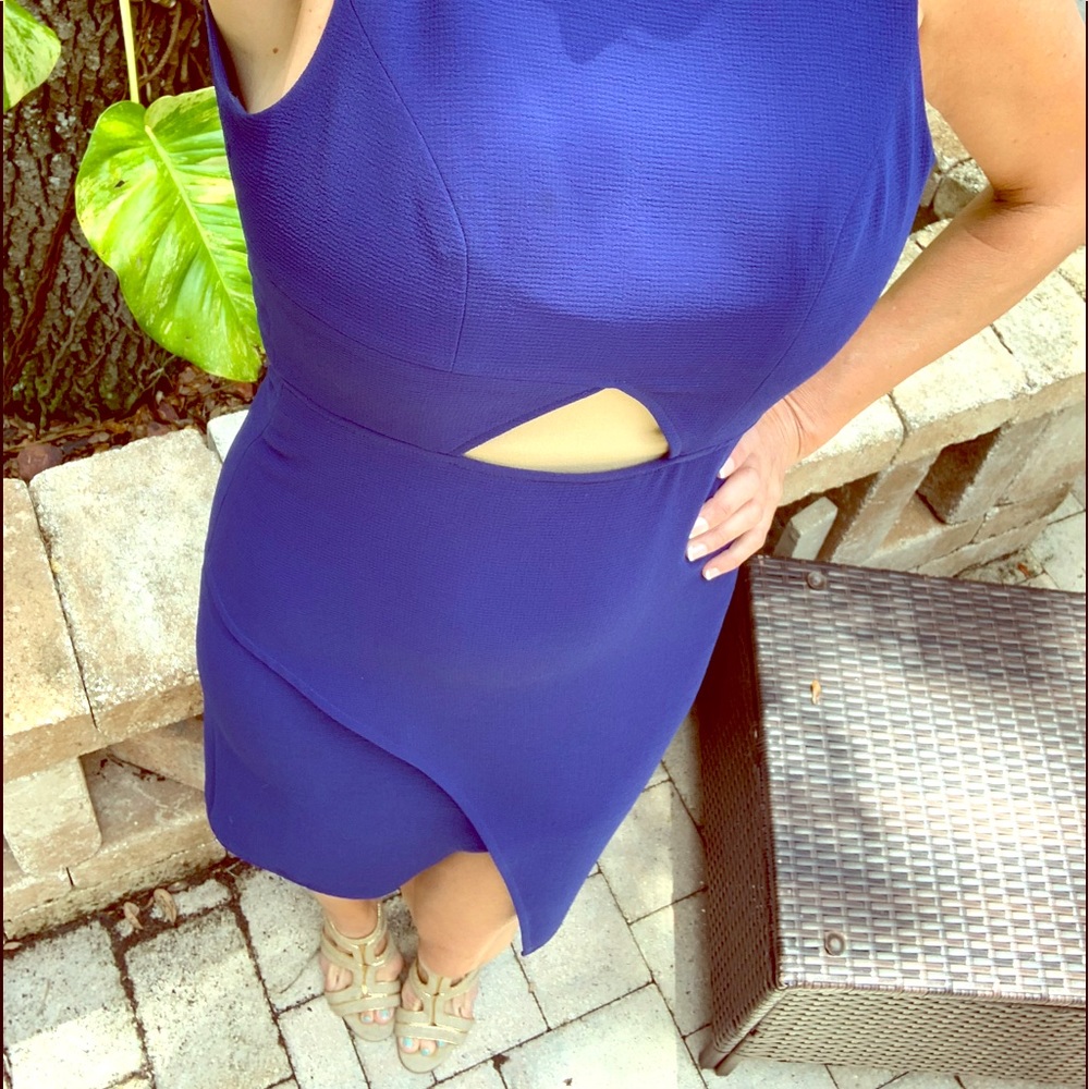 BCBG Gorgeous Dress/0